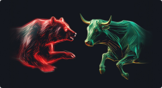 Bears vs Bulls